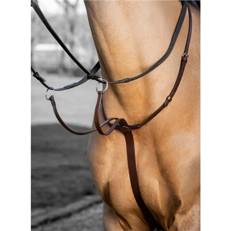 LeMieux Arika Running Martingale Brown/Silver-1